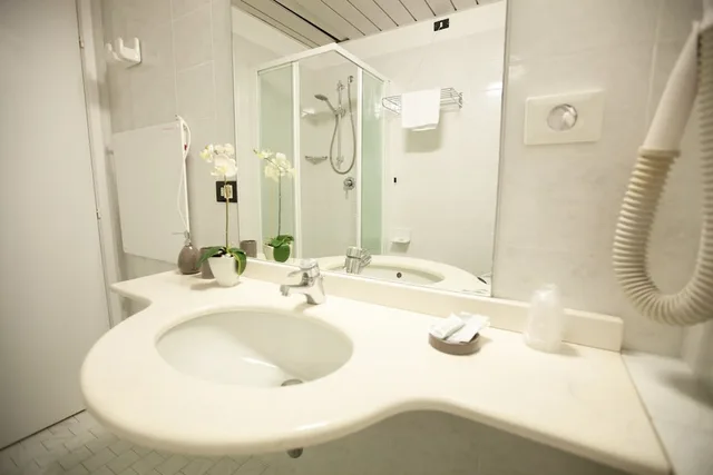 1 Bedroom, Panoramic, Triple, 1 Double and 1 Single Bed, Balcony, Hotel Maestri 7/7