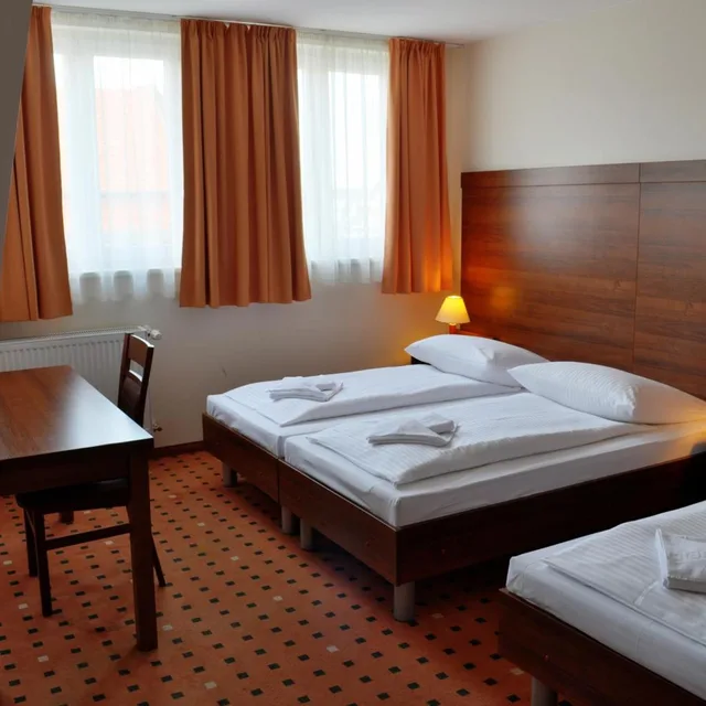Family, Single Bed, Hotel Europa City 8/10