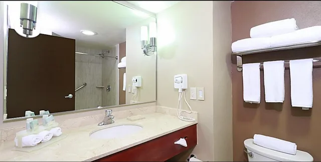 غرفة ديلوكس بسرير مزدوج، Holiday Inn Express Guadalajara Aeropuerto an IHG Hotel 3/3