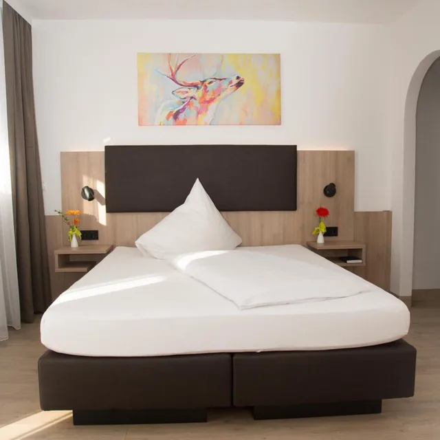 غرفة مفردة، Hotel Alter Hof 2/16