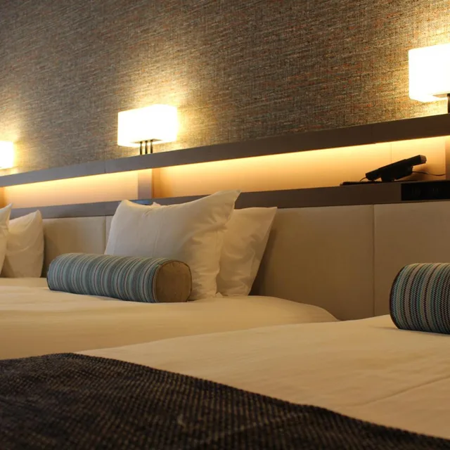 Superior, Triple, Single Bed, Hotel Sardonyx Tokyo 2/6