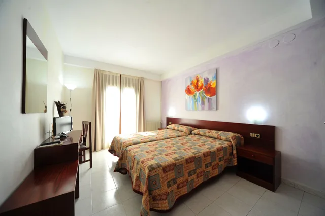 غرفة مفردة بسرير فردي، Hotel Vall d'Aneu 1/3