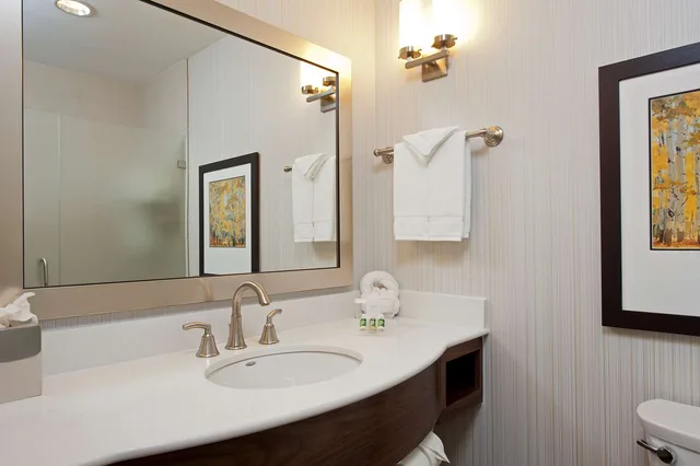 غرفة بسرير كينج بحوض استحمام لذوي الإعاقة، Hilton Garden Inn Indianapolis Downtown 4/5