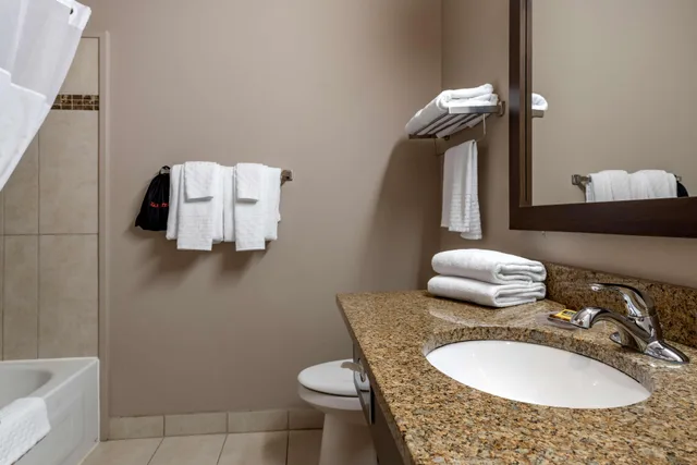 غرفة قياسية بسرير مزدوج، Best Western Plus Bridgewater 8/9