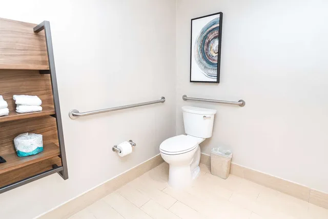 غرفة بسرير كينج بحوض استحمام لذوي الإعاقة، HILTON GARDEN INN FAIRFAX 5/5