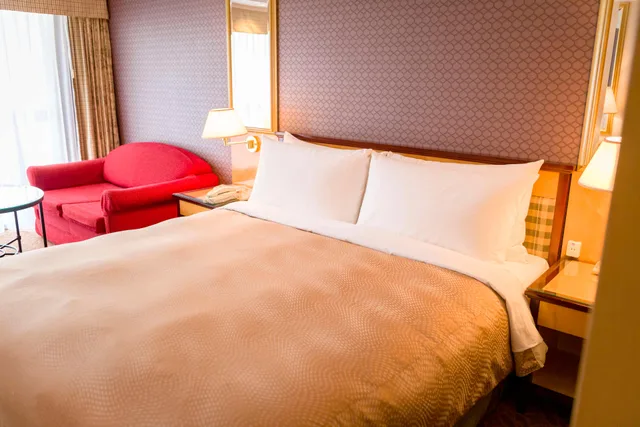 Deluxe, King Bed, City View, Rose Hotel Yokohama, WorldHotels Distinctive 4/5