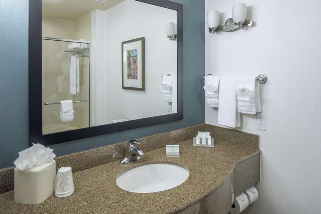 غرفة بريميوم بسريرين كوين، Hilton Garden Inn Dfw North Grapevine 3/4