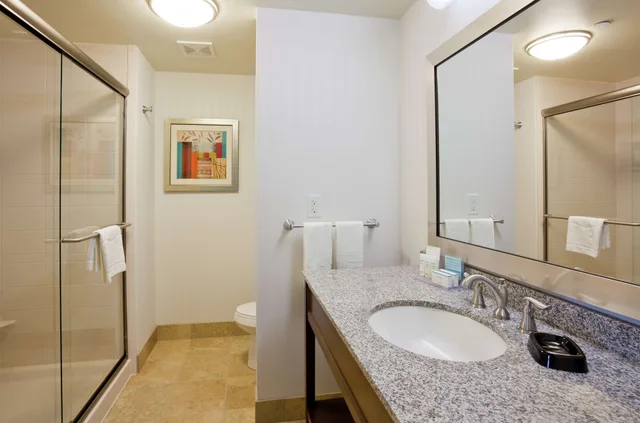 Room, King Bed, Sofa, Accessible, Hampton Inn & Suites Minneapolis/West-Minnetonka 3/3