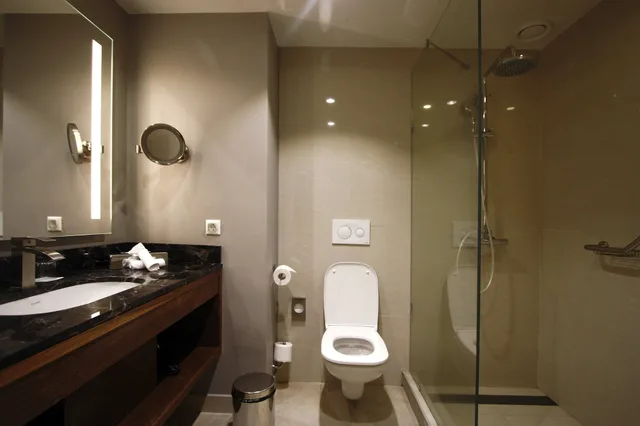 غرفة قياسية، Radisson Blu Hotel Yerevan 7/7