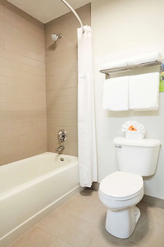 1 Bedroom, Suite, King Bed, Radisson Hotel Portland Airport 8/10