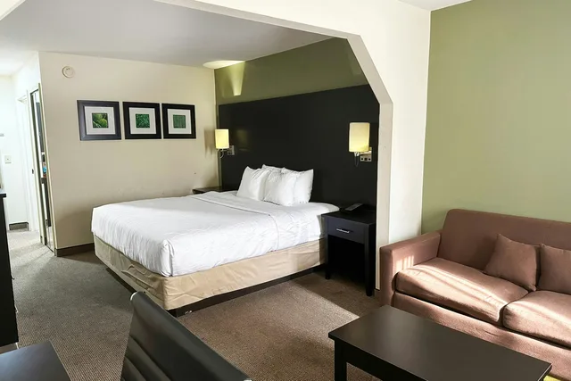 جناح بسرير كينج، OYO Hotel Rome West GA 3/7