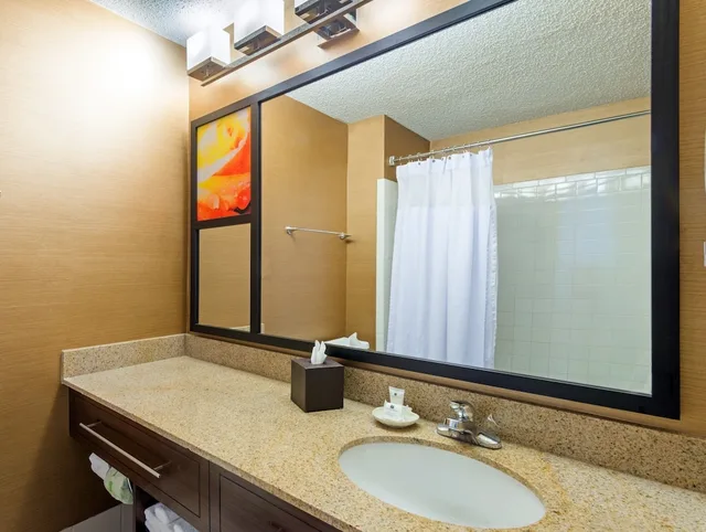 جناح تنفيذي بسرير مزدوج بغرفة نوم واحدة، Crowne Plaza Dallas Near Galleria Addison 3/5