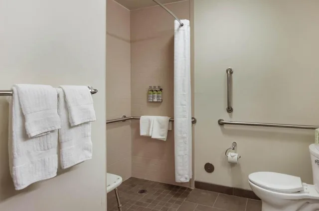 Studio, Queen Bed, Accessible, Candlewood Suites Brighton 6/6