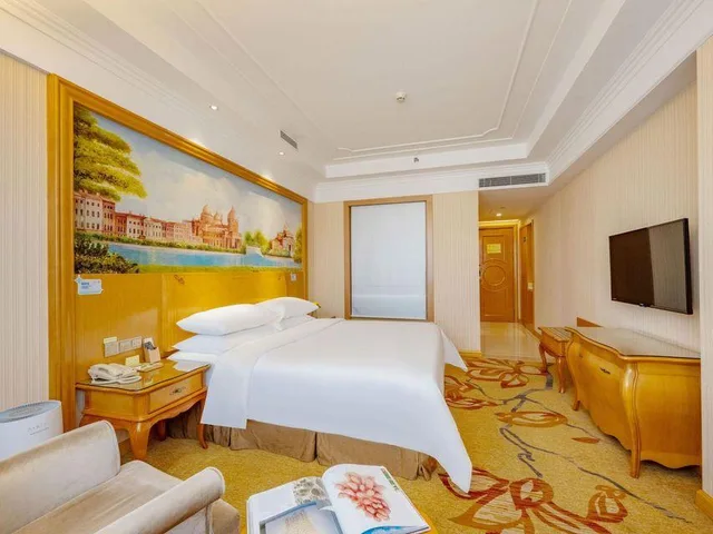 Leisure, Suite, Venus International Hotel Shenzhen Gongming Square Metro Station Tianhong Branch 1/1