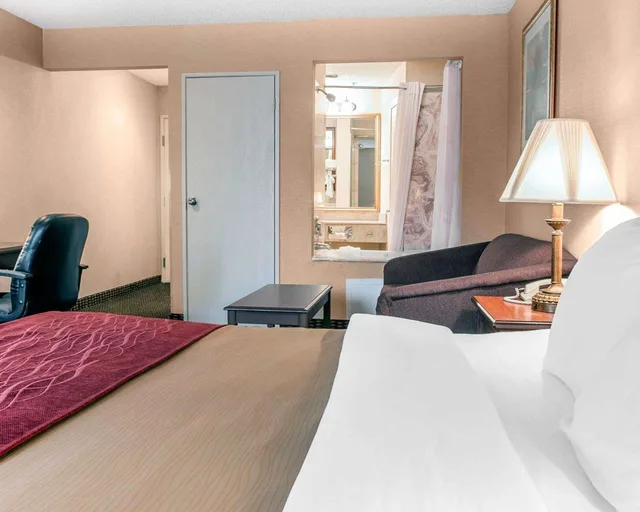 Upgrade, King Bed، Wingate by Wyndham Livonia 2/3