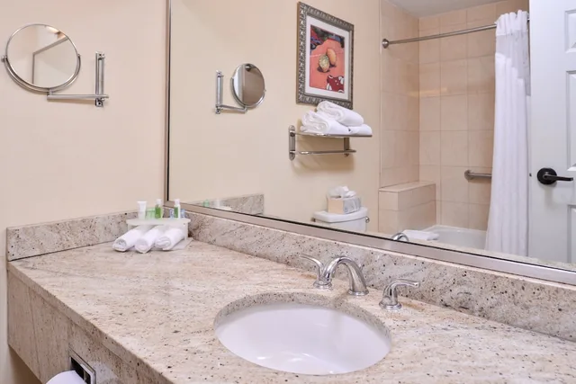 غرفة قياسية بسرير كوين، Holiday Inn Express Tampa N I-75 - University Area by IHG 3/3