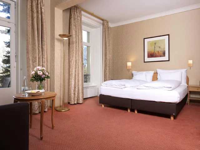 Room, Double Bed, River View, Balcony, Grand Hotel Beau Rivage 1/1