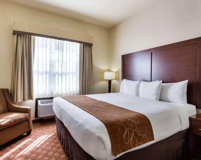 جناح لذوي الإعاقة، Comfort Suites near NASA - Clear Lake 1/1
