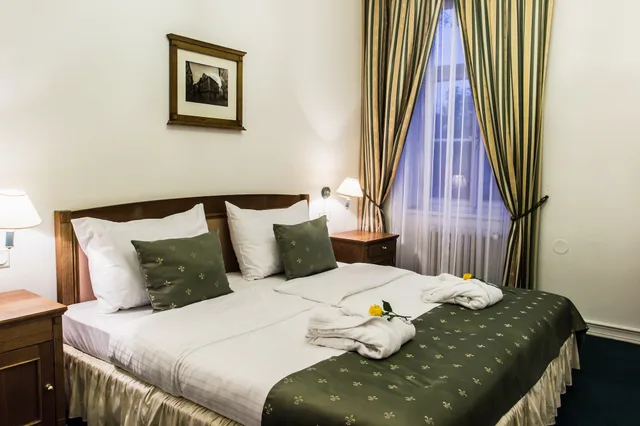 غرفة قياسية بسرير كينج بإطلالة على المدينة، Hotel Dvorak 2/5