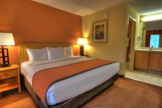 Room, King Bed, City View, Accessible, Econo Lodge Pigeon Forge Riverside 5/7