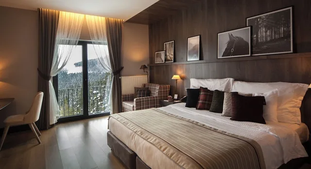 Mansion, Double Bed، Ferko Ilgaz Mountain Resort 2/3