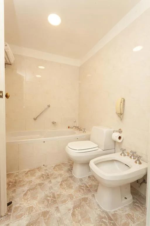 Plaza, Executive, Twin Beds, Plaza View، Austral Plaza Hotel 1/1