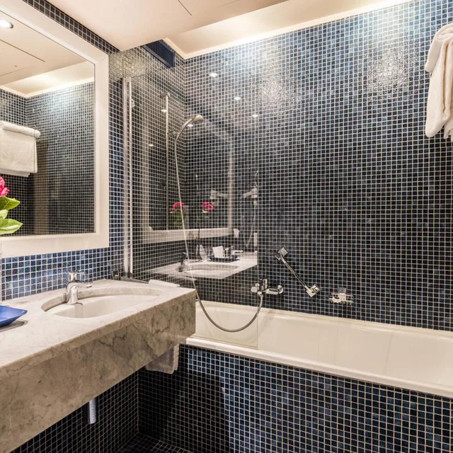 Park, Deluxe, Double Bed, Lake or Park View, Balcony, Royal Plaza Montreux Hotel 6/8