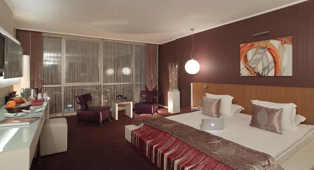 غرفة سوبيريور بسرير مزدوج، City Hotel Ankara 5/10