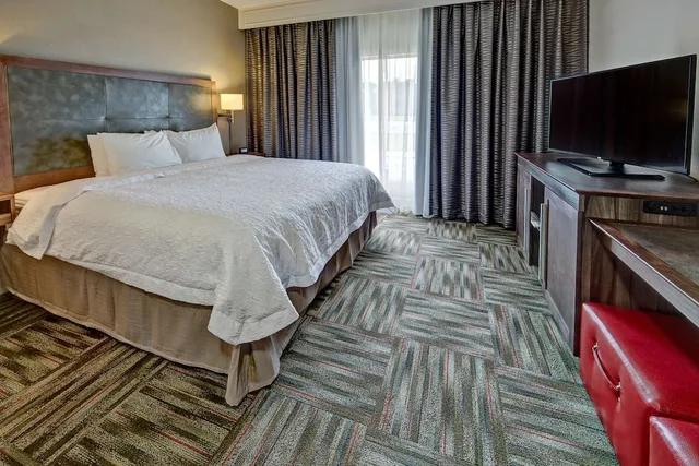جناح بسرير كينج مع أريكة، Hampton Inn Newbery Opera House 2/3