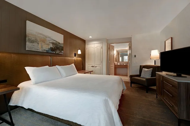 جناح بسرير كينج بإطلالة على النهر، Hilton Garden Inn Boise/Eagle 1/3