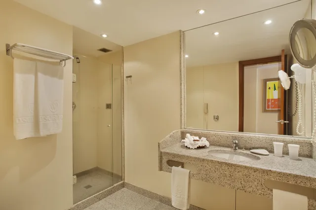 غرفة سوبيريور تنفيذية بسريرين منفصلين بإطلالة على المدينة، Windsor Plaza Copacabana 5/5
