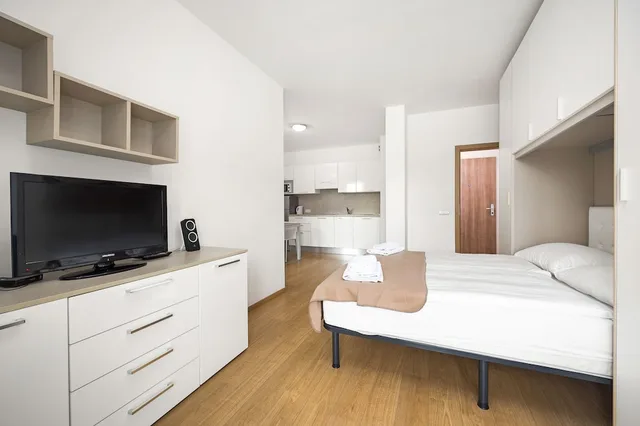 شقة كلاسيكية بسرير كوين مع أريكة، Prague City Residence 1/7