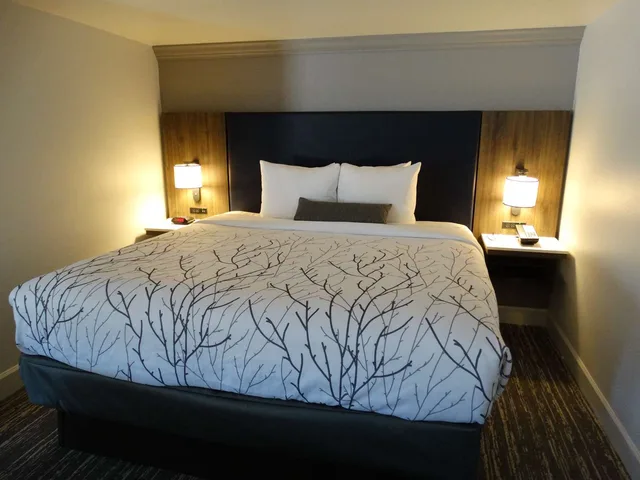 جناح بسرير كينج بشرفة مع أريكة بحوض جاكوزي بمطبخ صغير، Best Western Denver East 1/2