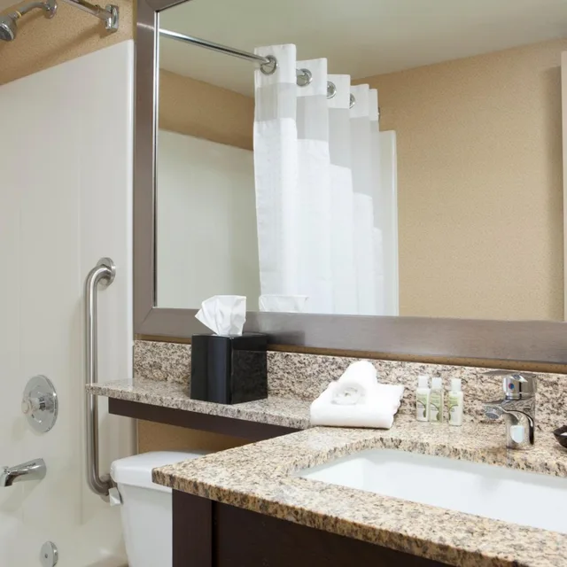جناح بسرير كينج بغرفة نوم واحدة مع أريكة، Holiday Inn Hotel And Suites Des Moines Northwest 2/2