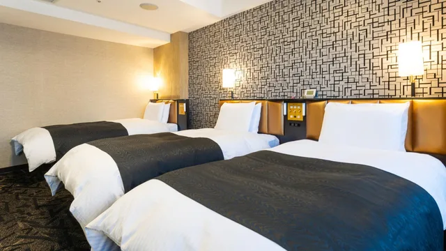 غرفة ديلوكس بسريرين مزدوجين، Apa Hotel Toyama Ekimae 1/1