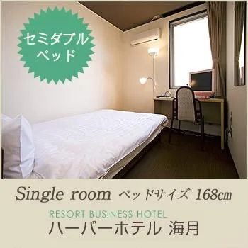 Standard, Single, Harbor Hotel Kaigetsu 1/1