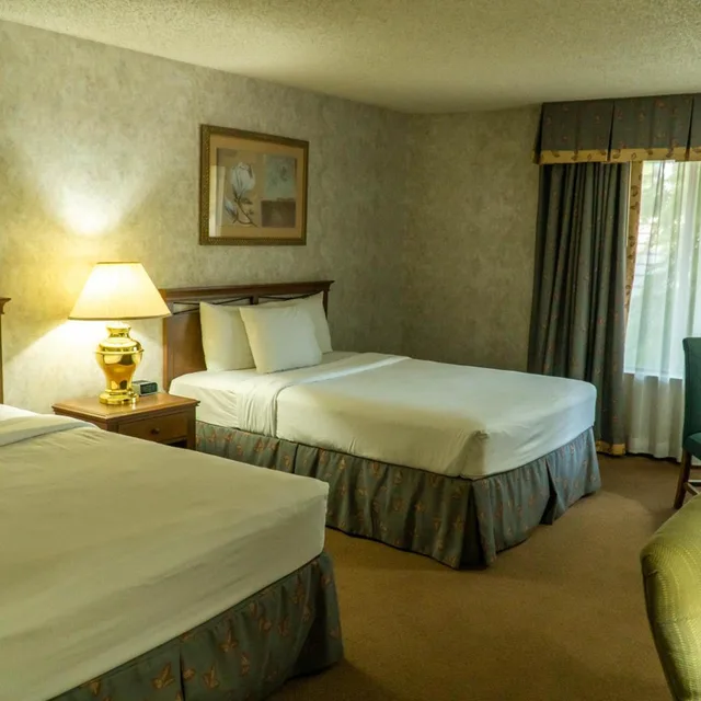 غرفة بسريرين كوين، Hotel Piccadilly 2/3
