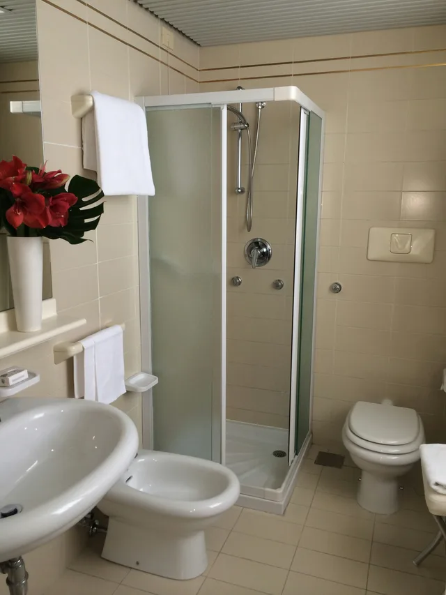 غرفة قياسية، Starhotels Cristallo Palace 1/1