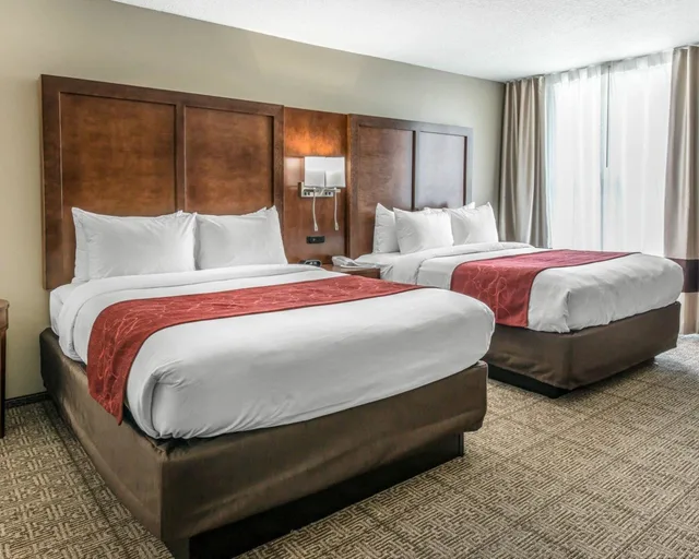 جناح بسريرين كوين مع أريكة لذوي الإعاقة، Comfort Suites Dunnellon near Rainbow Springs 5/10