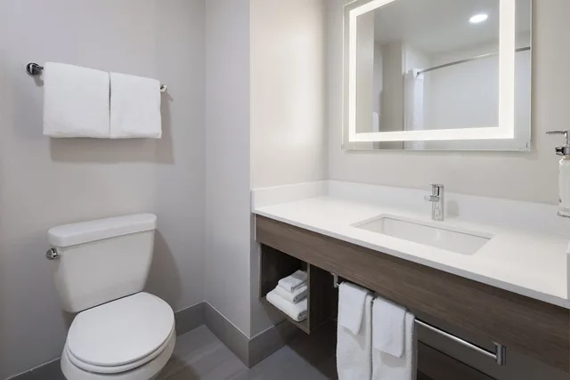 غرفة قياسية بسرير كينج بشرفة مع أريكة، Comfort Suites Leesburg 1/1