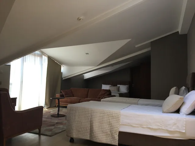 Loft, Family, Queen and Twin Beds, Terrace, The Elegant Hotel 1/4