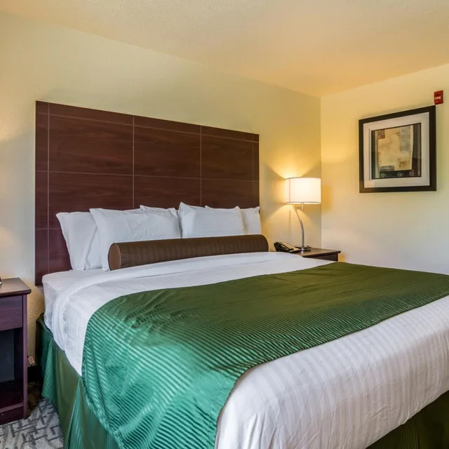 غرفة بسرير مزدوج، Cobblestone Hotel and Suites - Erie 6/8