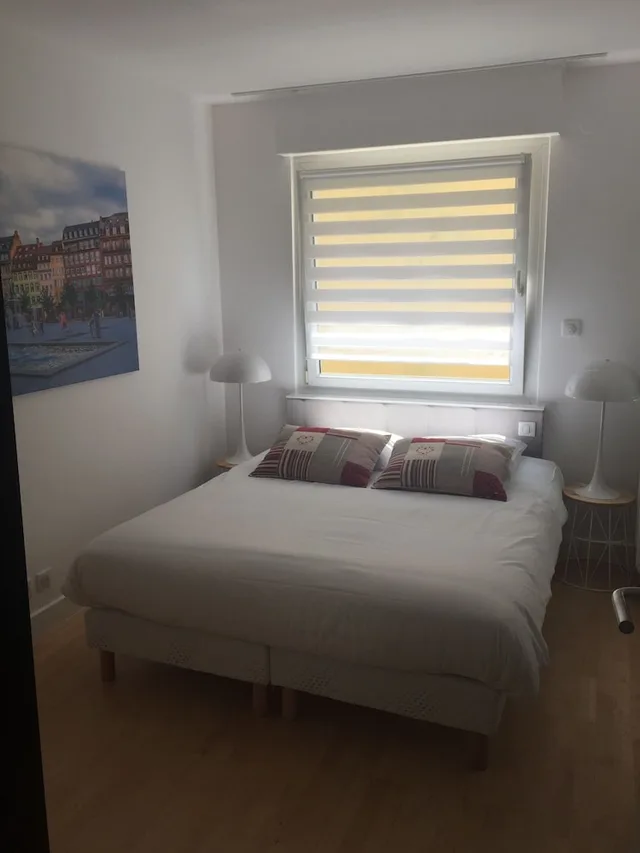 City, Apartment, Queen and Twin Beds, LE KLEBER 2/6