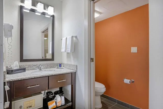 غرفة بسرير مزدوج، Sleep Inn DeWitt - Lansing North 4/4