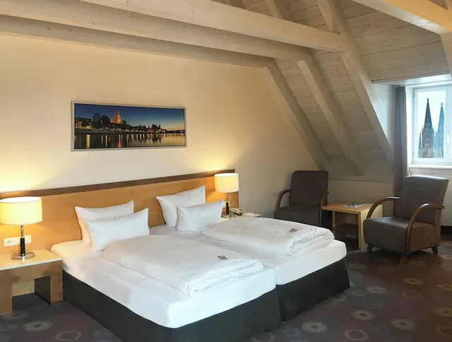Comfort, Single, Queen Bed, Riverside، Sorat Insel-Hotel Regensburg 1/5