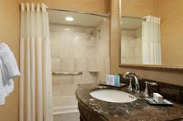 غرفة قياسية بسرير كوين، The Seelbach Hilton Louisville 4/4
