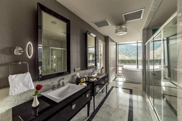 جناح رئاسي، Borjomi Likani Hotel, Borjomi 6/6