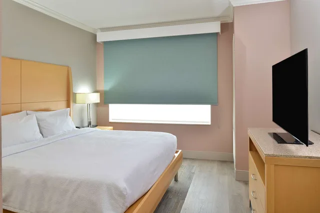 جناح جونيور بسرير كينج مع أريكة، Hilton Garden Inn Denton 1/3