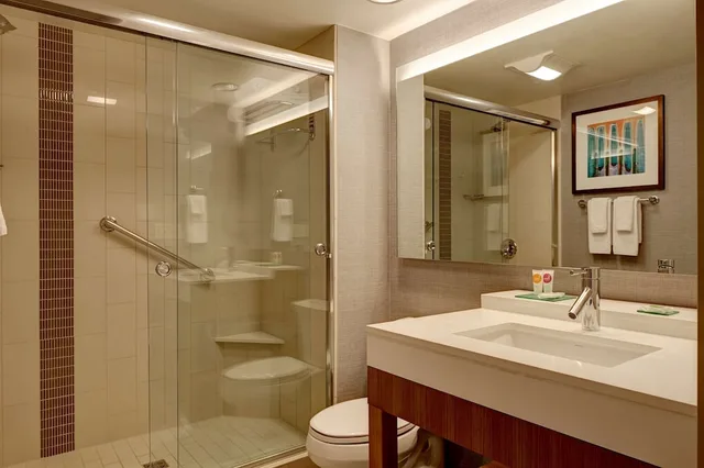 غرفة بسرير كينج لذوي الإعاقة، Hyatt Place Columbus 3/3