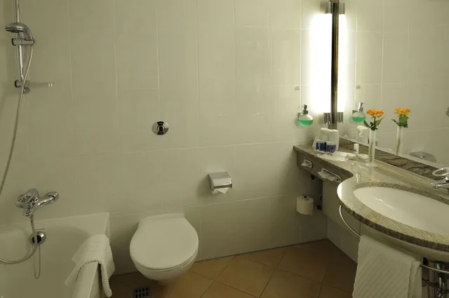 Smart, Classic, Double Bed، Maritim Hotel Darmstadt 6/6
